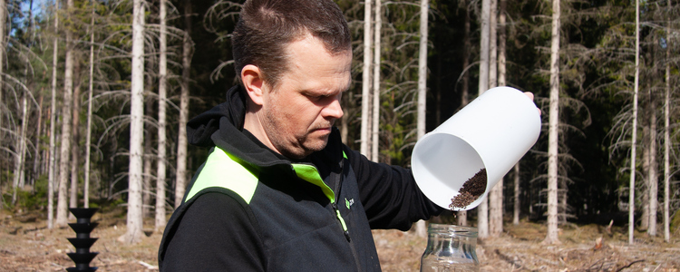 Tuff barkborresommar befaras