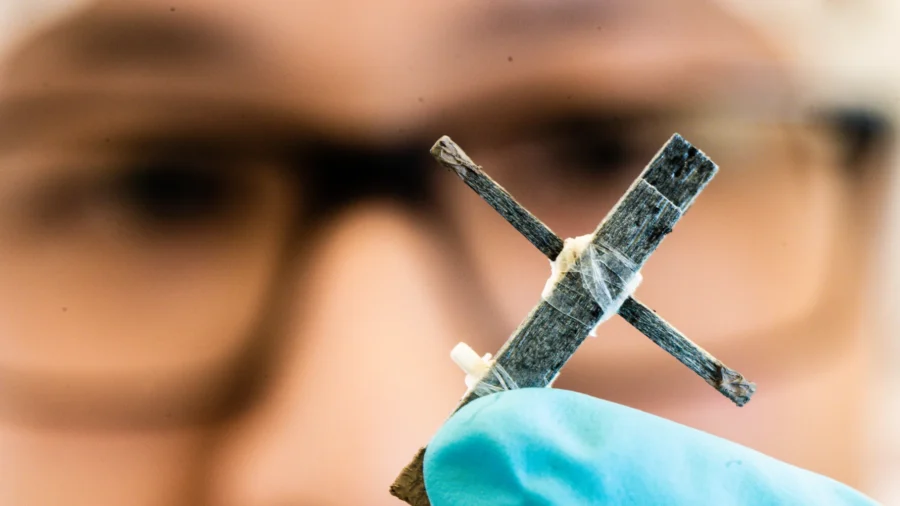 De uppfann världens första trätransistor