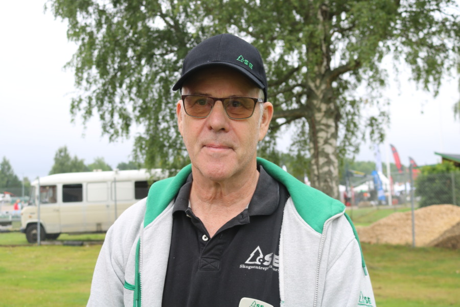 Så slår svinpesten mot skogsnäringen 