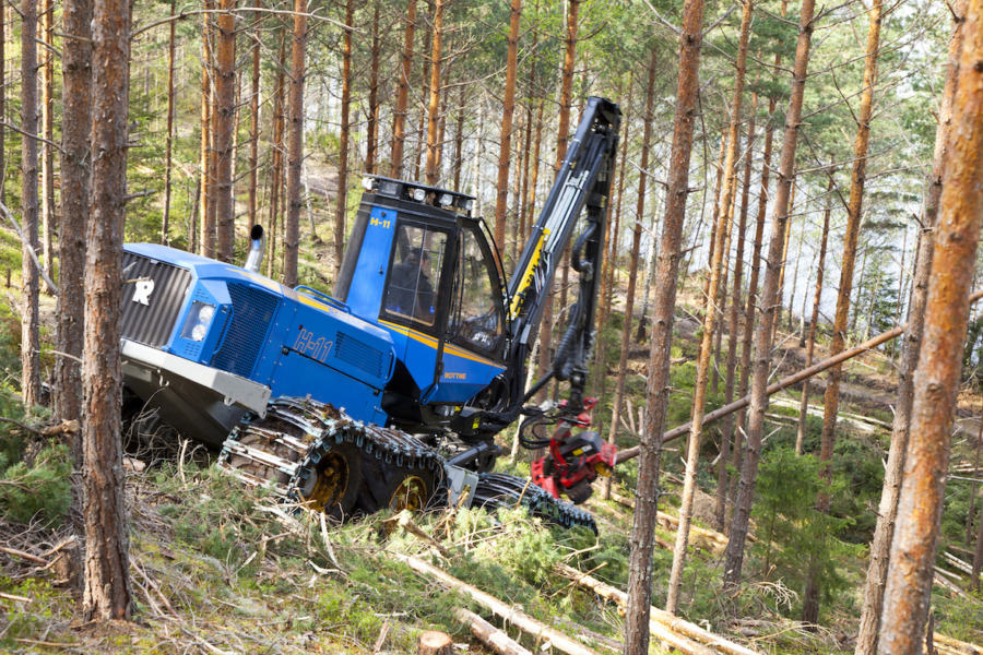 Märker du att virkespriserna stigit?