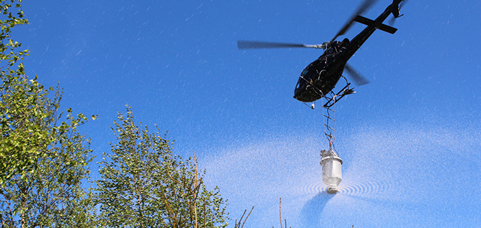 Tidig gödsling fördubblar stamvolymen