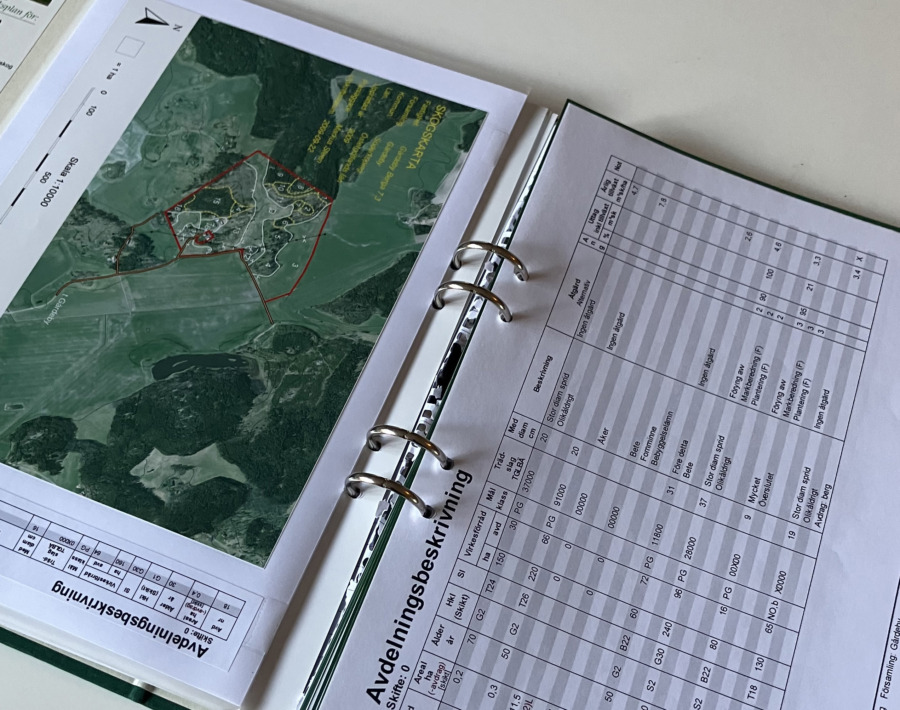 Använder du skogsbruksplanen?