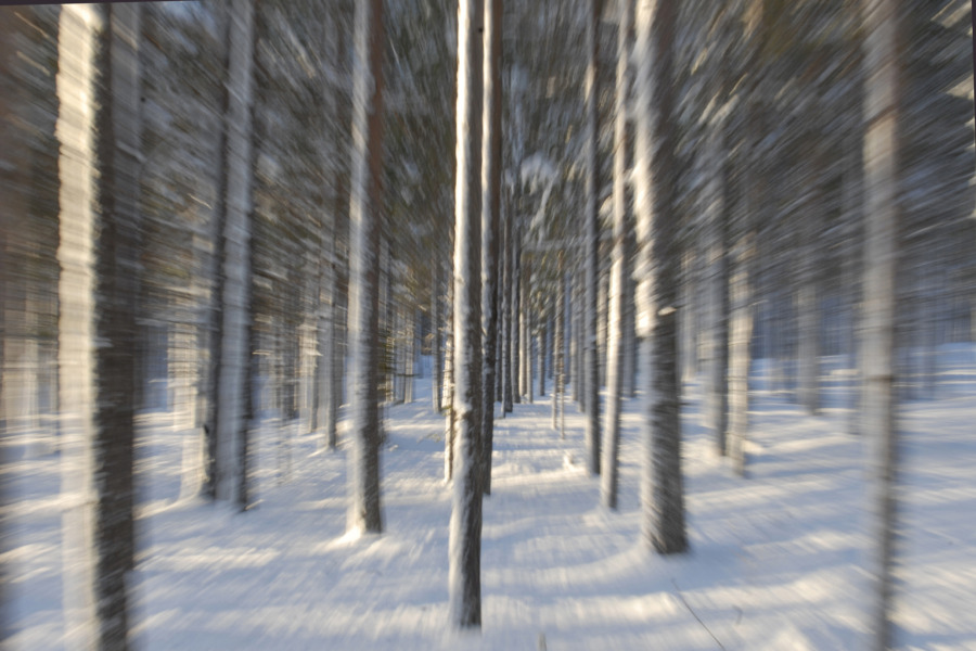 Jobbar du i skogen på vintern?