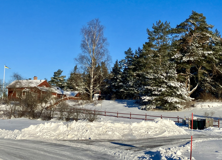 Priset på skog  mattas av