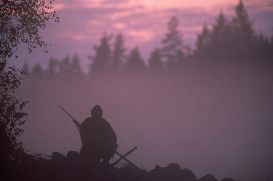 Jaktlagstiftning ska utredas
