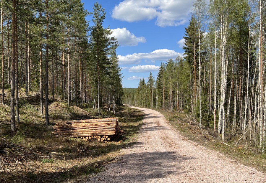 Mindre skogsägare svagare i virkesaffären