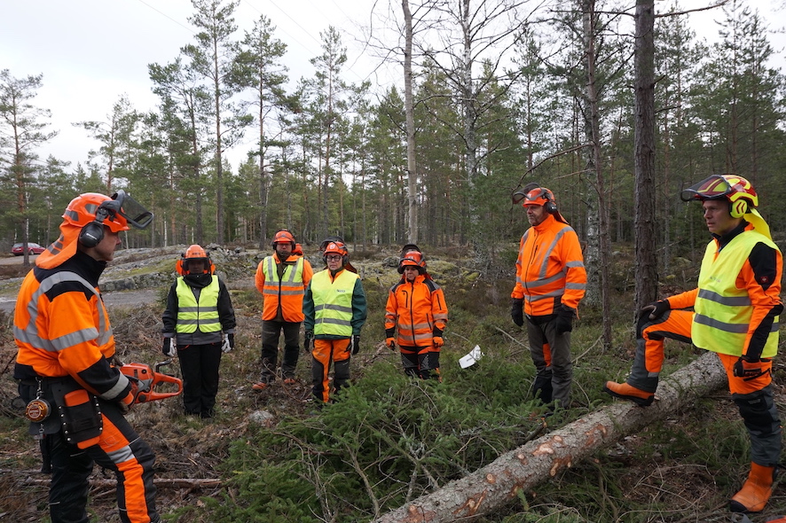 Motorsåg kapar partilinjerna
