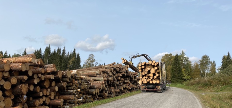 Även virkespriser behandlas i vår konkurrensanalys