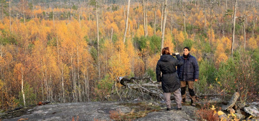 IUFRO: Exkursioner till tusen en tuff logistisk uppgift