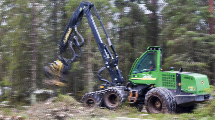 Uppgång för avverkningsanmäld areal