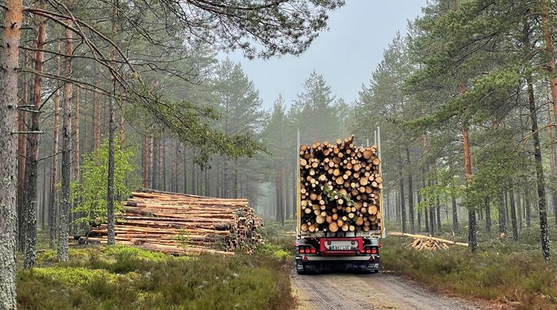 Södra höjer virkespriserna