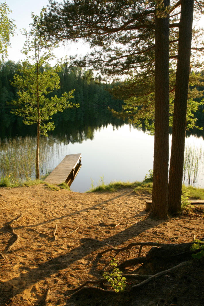 Foto: Björn Svensson/SKOGENbild