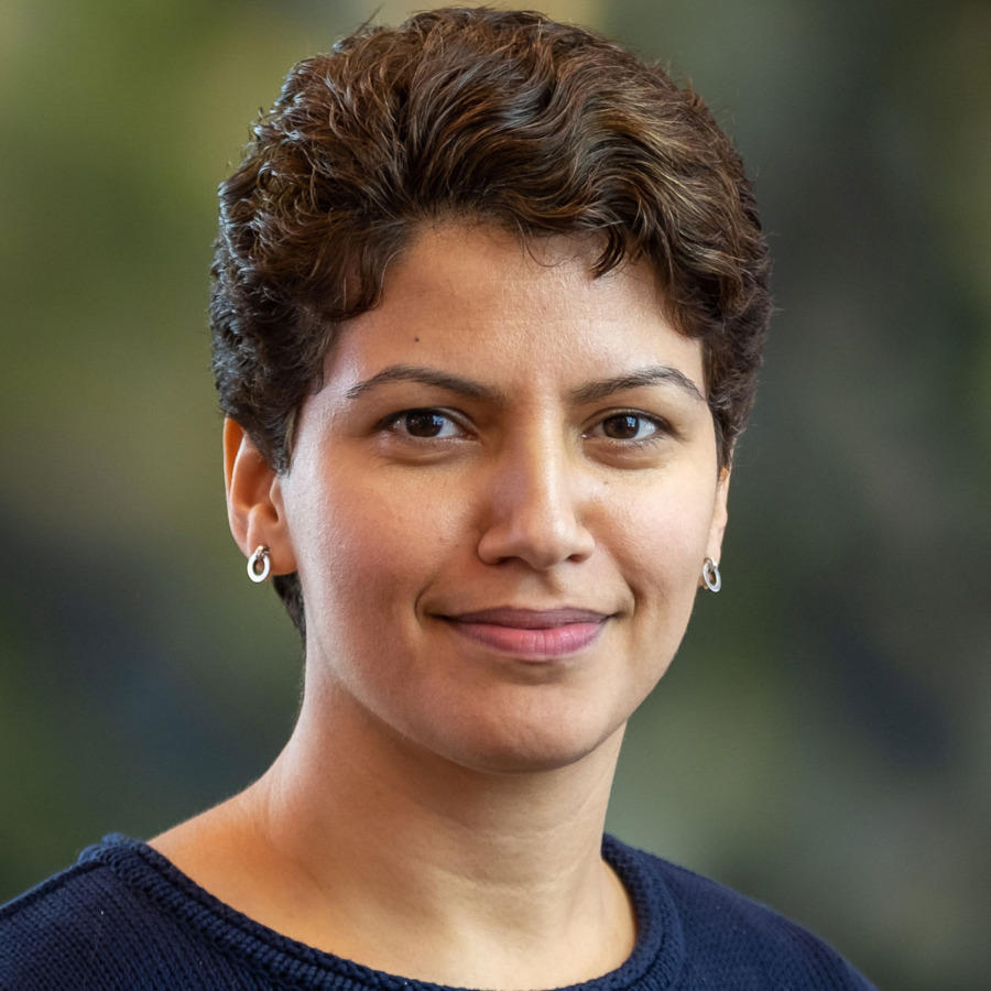 Sima fick kungens stipendium