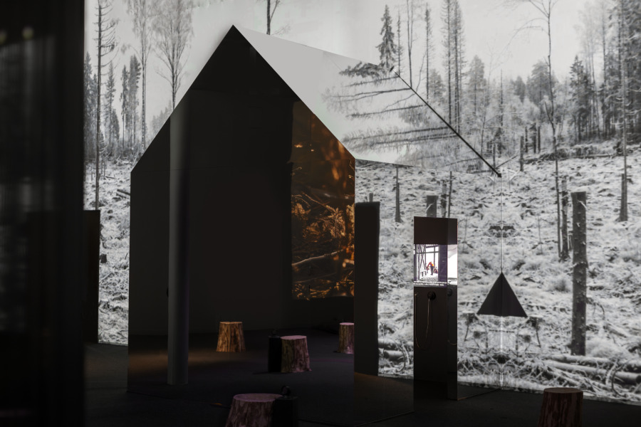 Upplagt för tuffa debatter om skogen