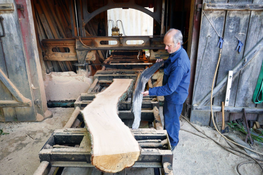 Kröken kan bli värdefull 