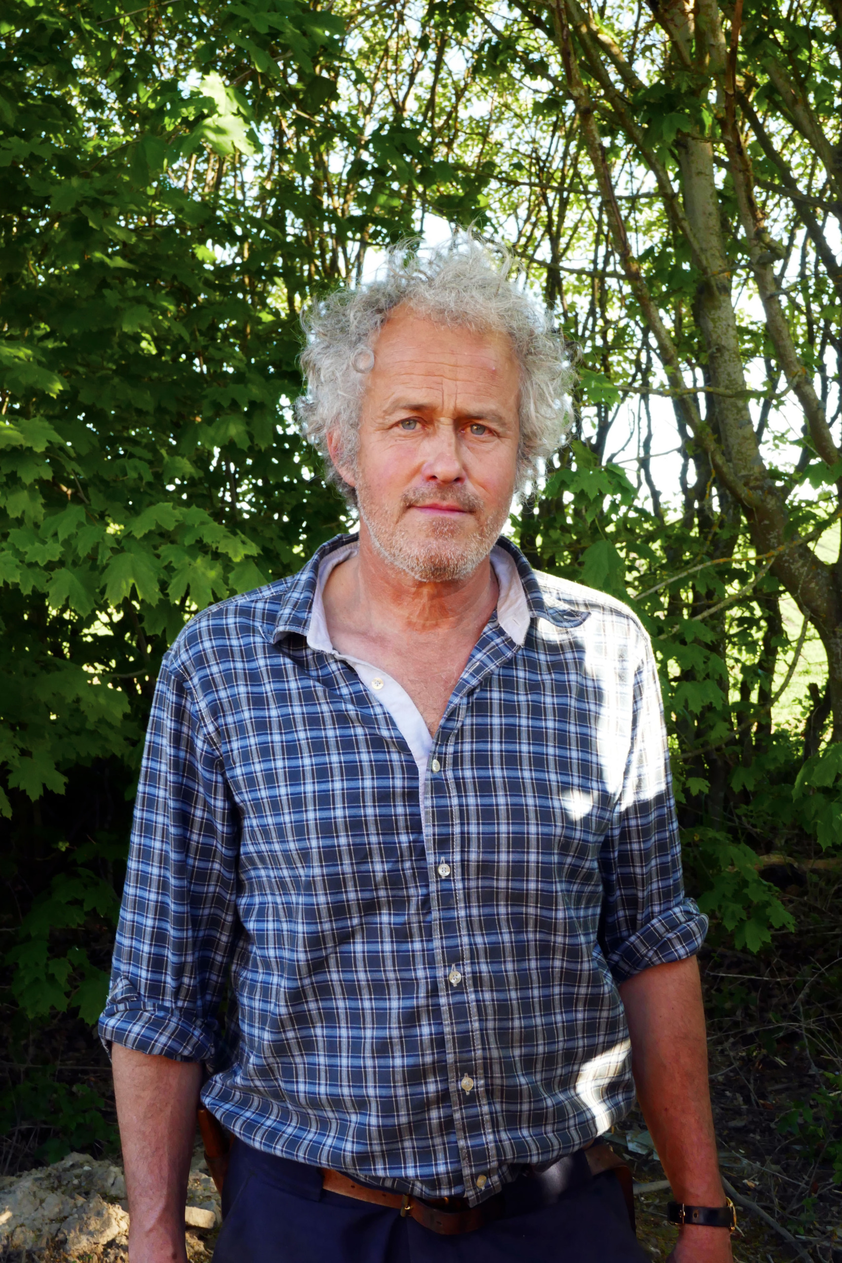 Mathias Ravanis Kröken kan bli värdefull - Skogen