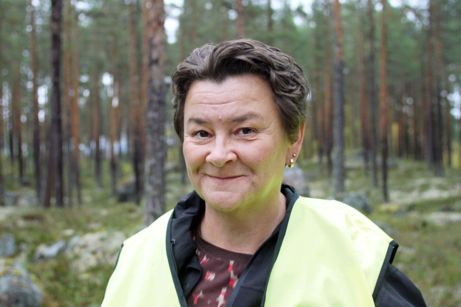 Ren och skog: ”Samråd kan effektiviseras”