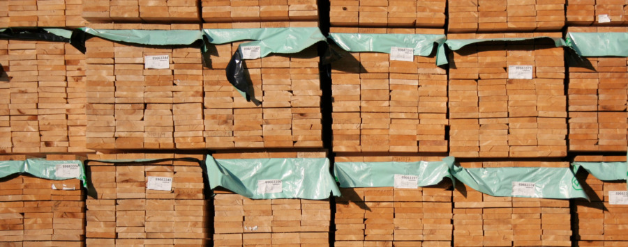 Jinsiy aloqa paytida qizlikni yoqotish video Yosh qizning mushuk suratidagi Dik