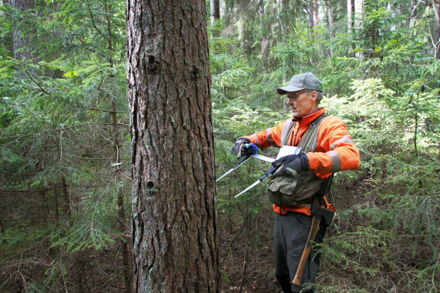 Grovt & rakt ger bra betalt 