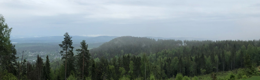 Allt mer skog ägs av utbor