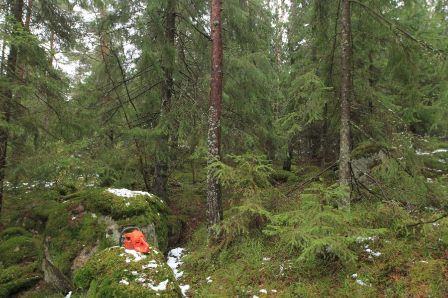 Breddat bråk om kyrkans utredning