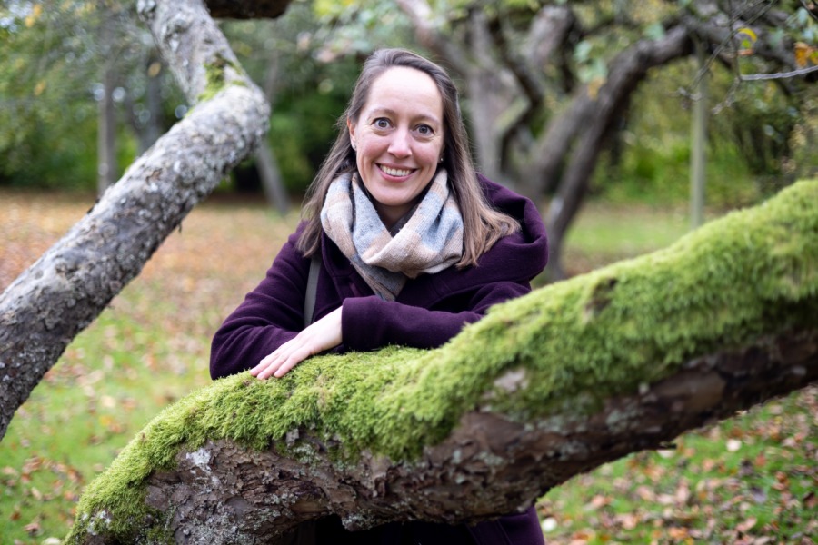 Hon testar trädens torktolerans