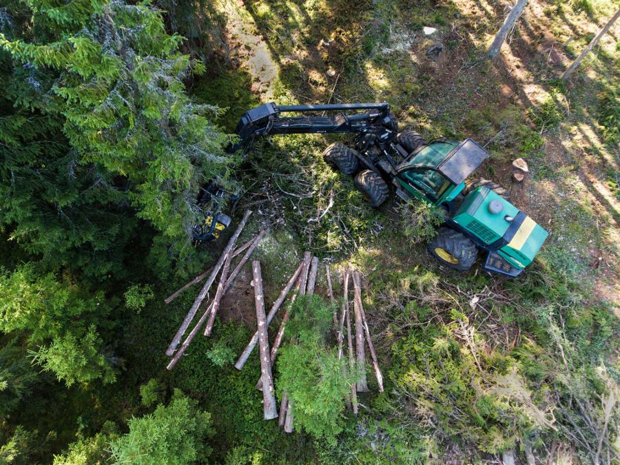 Mindre areal avverkningsanmäld