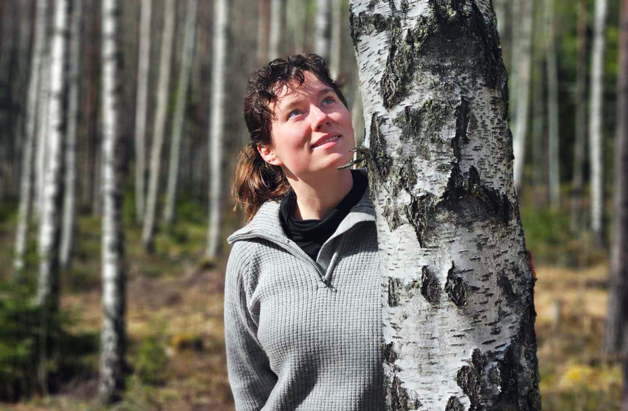 Björk hämmade inte gran 