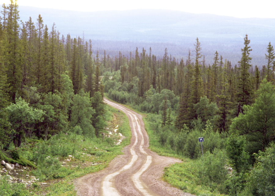Vårdad vägkant gör ängsnytta