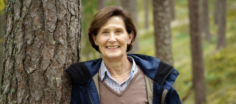 Eva (och slumpen) ökar plantkunskap