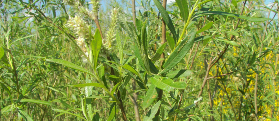 Sök stöd till energi på åker