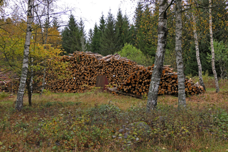 Stor ökning av massavedslager