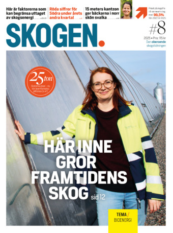 Skogen