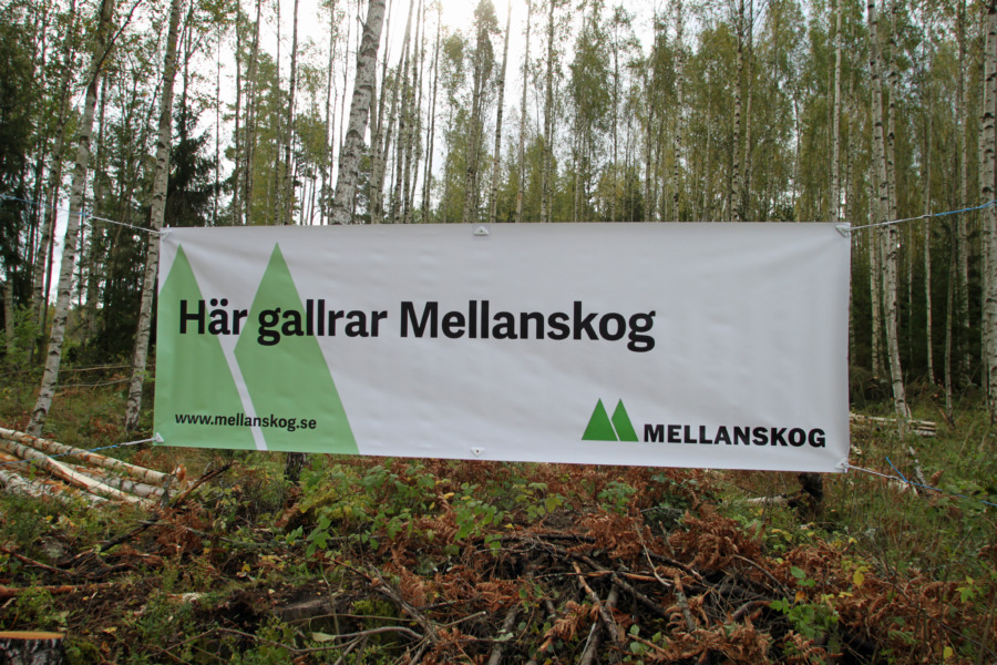 Ny sänkning från Mellanskog
