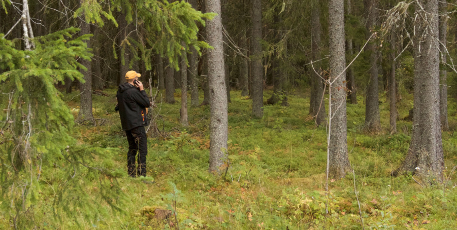 Skogsutbildningar ger jobb
