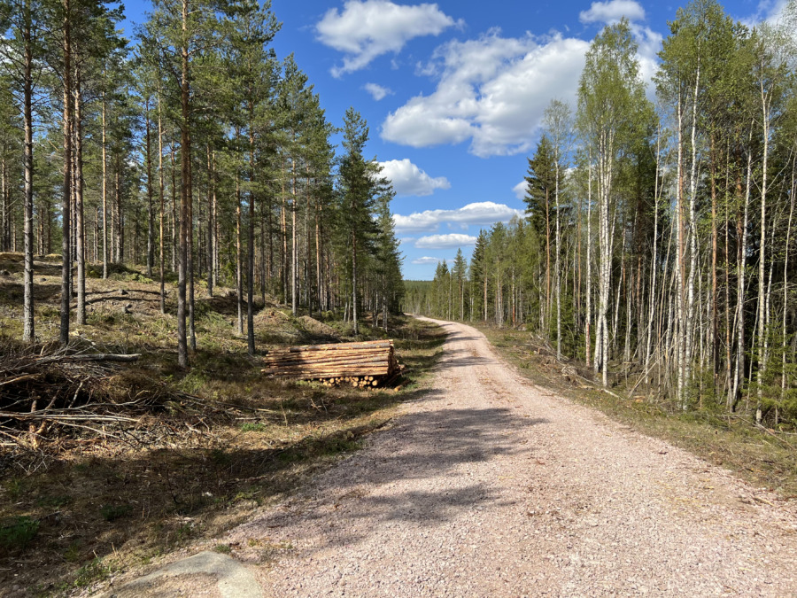 Bra första halvår för Norra Skog
