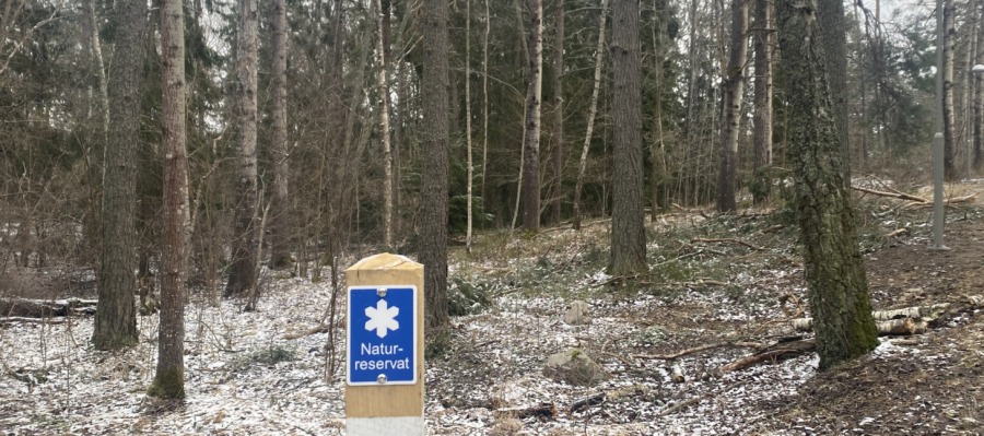 Jordförvärvslagen påverkar skogspriserna