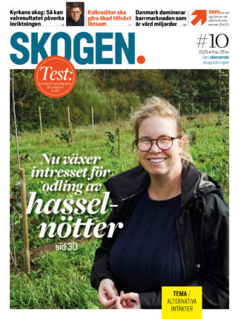 Skogen