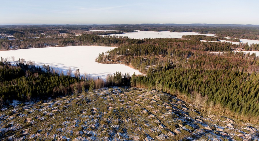 ”Lämna fler kantzoner”