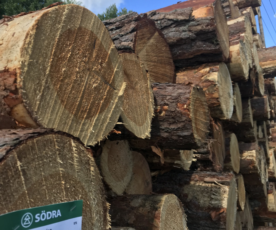 Södra sänker priserna