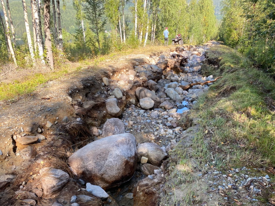 Skogsbilvägar bidrog till skador efter skyfall