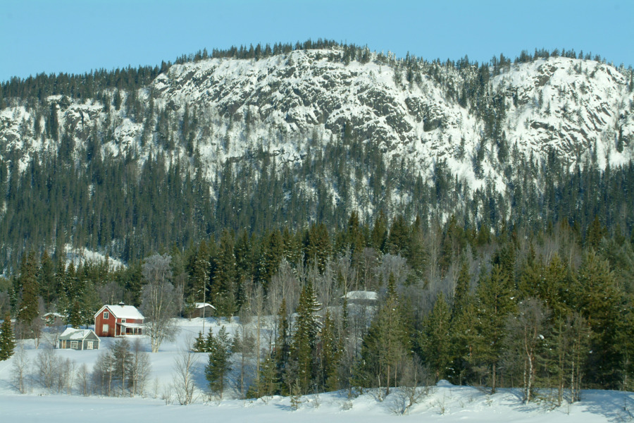 God jul och gott nytt år!