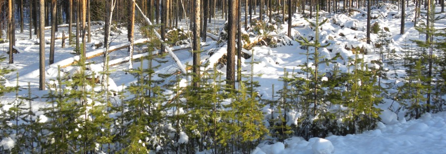 ”Man ska inte ta en nedgång för given”