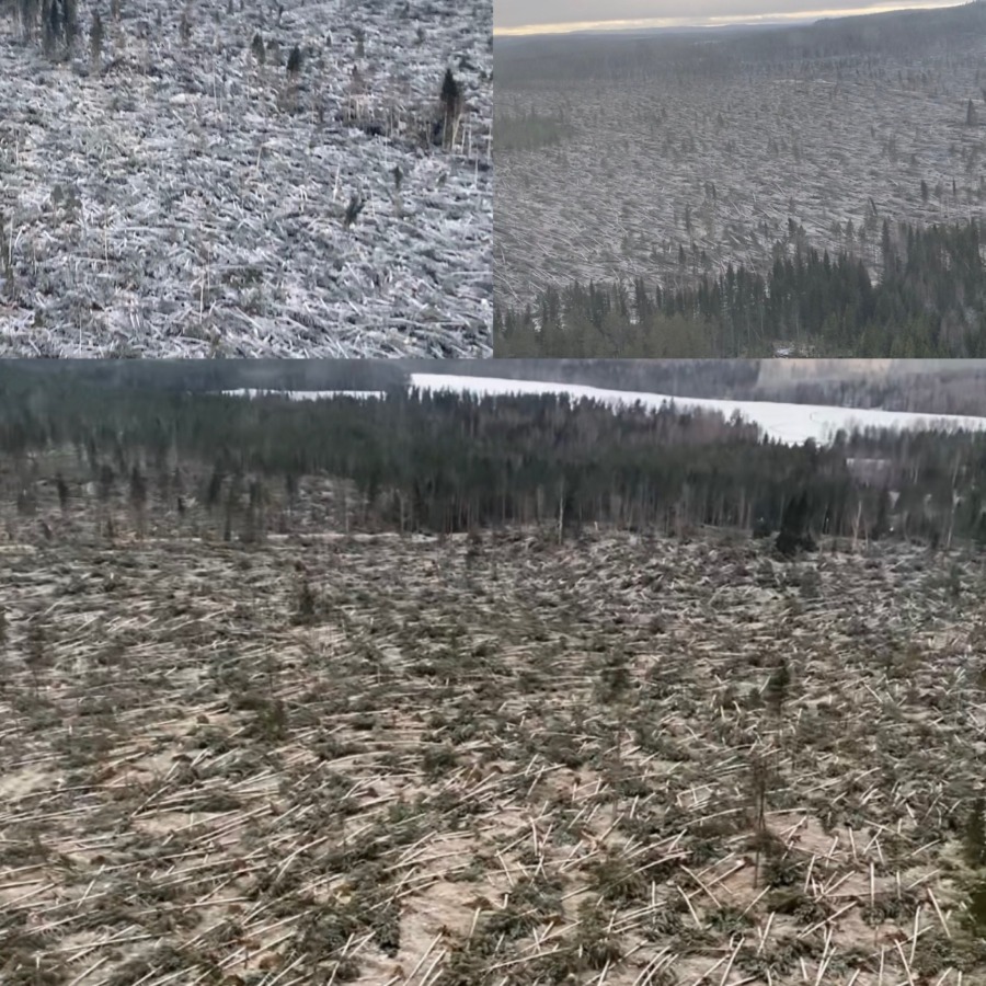 Minst 1,5 miljoner kubik blåste ner