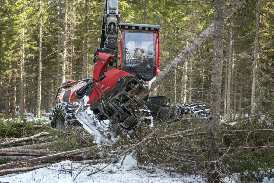 Ny utmärkelse ska inspirera