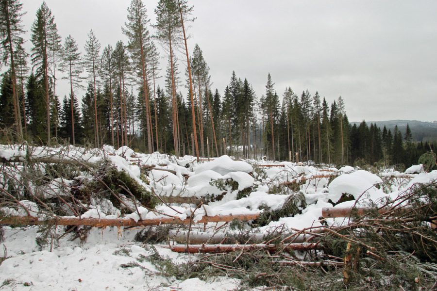 Stormarbetet är i gång