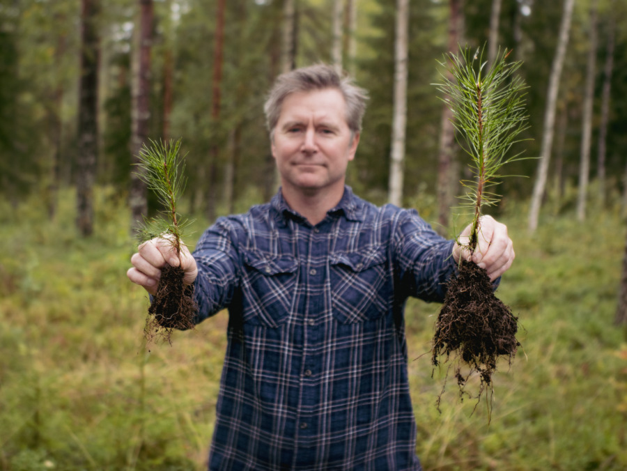 Blomkruka gav idé till plantnäring