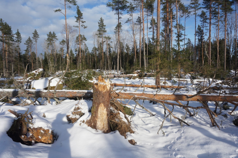 Stormskador på ny karta