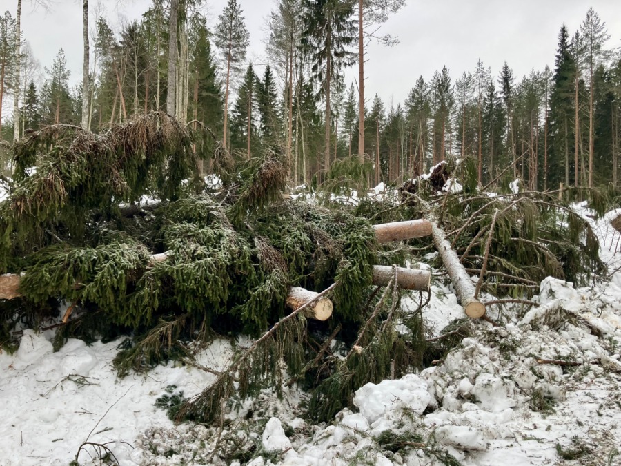 Fördubbling där stormen drog fram