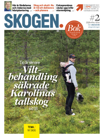 Skogen